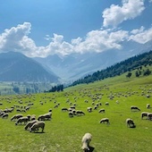Destination